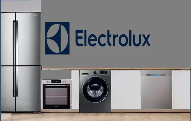 Bahçelievler Electrolux servisi